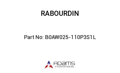 B0AW025-110P3S1L