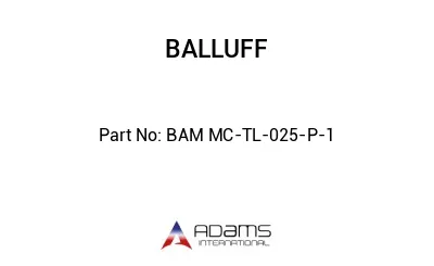 BAM MC-TL-025-P-1									