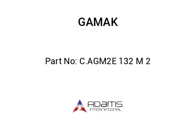 C.AGM2E 132 M 2