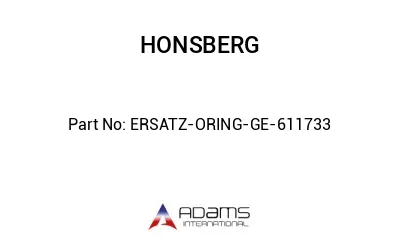 ERSATZ-ORING-GE-611733