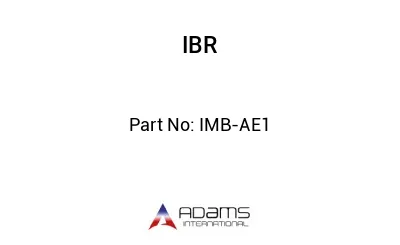 IMB-AE1