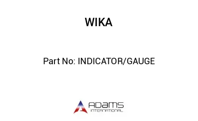 INDICATOR/GAUGE