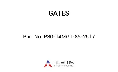 P30-14MGT-85-2517