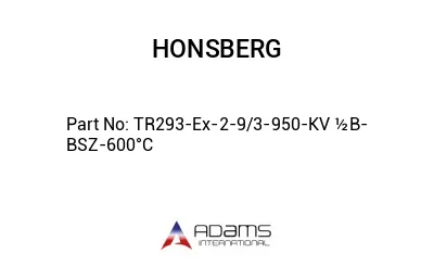 TR293-Ex-2-9/3-950-KV ½B-BSZ-600°C